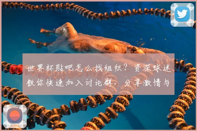 世界杯贴吧怎么找组织？资深球迷教你快速加入讨论群，分享激情与赛果预测！