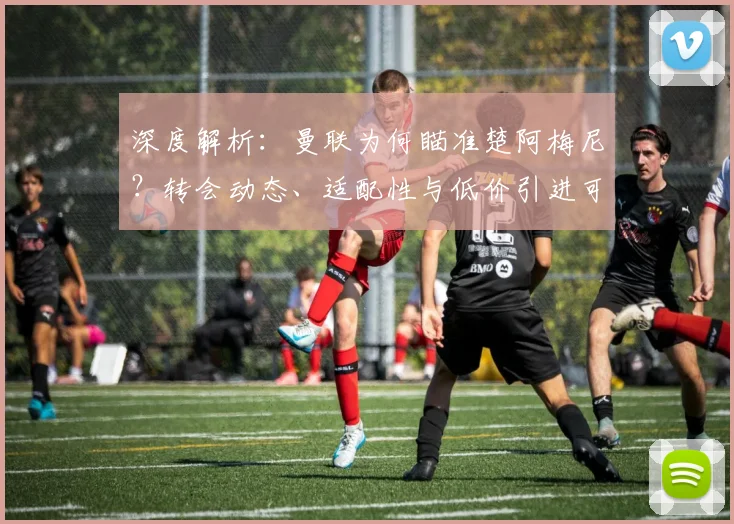 深度解析:曼联为何瞄准楚阿梅尼?转会动态、适配性与低价引进可能性全览